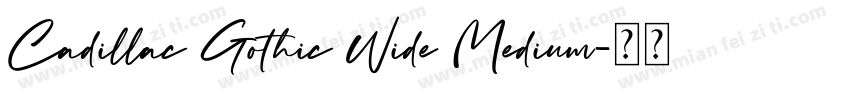Cadillac Gothic Wide Medium字体转换